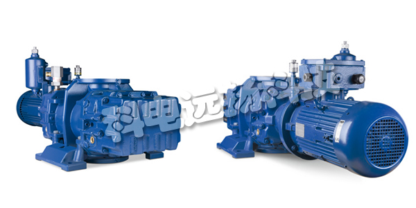 AERZEN泵,AERZEN真空泵,德國(guó)AERZEN,德國(guó)真空泵,GMA 11.3 HV